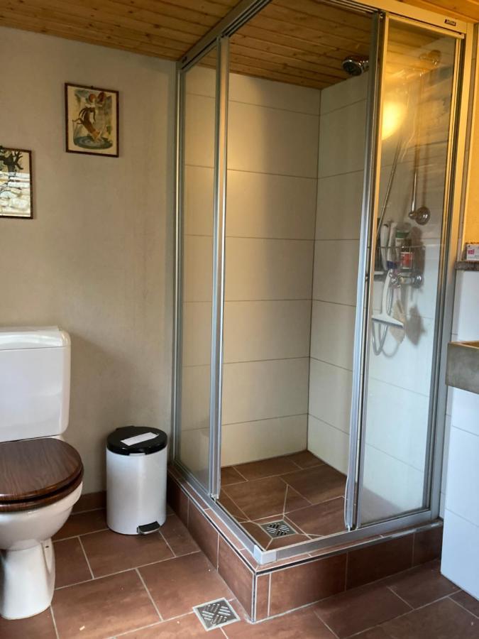 Chalet La Paz With Hotpot And Sauna Villa Torbel ภายนอก รูปภาพ