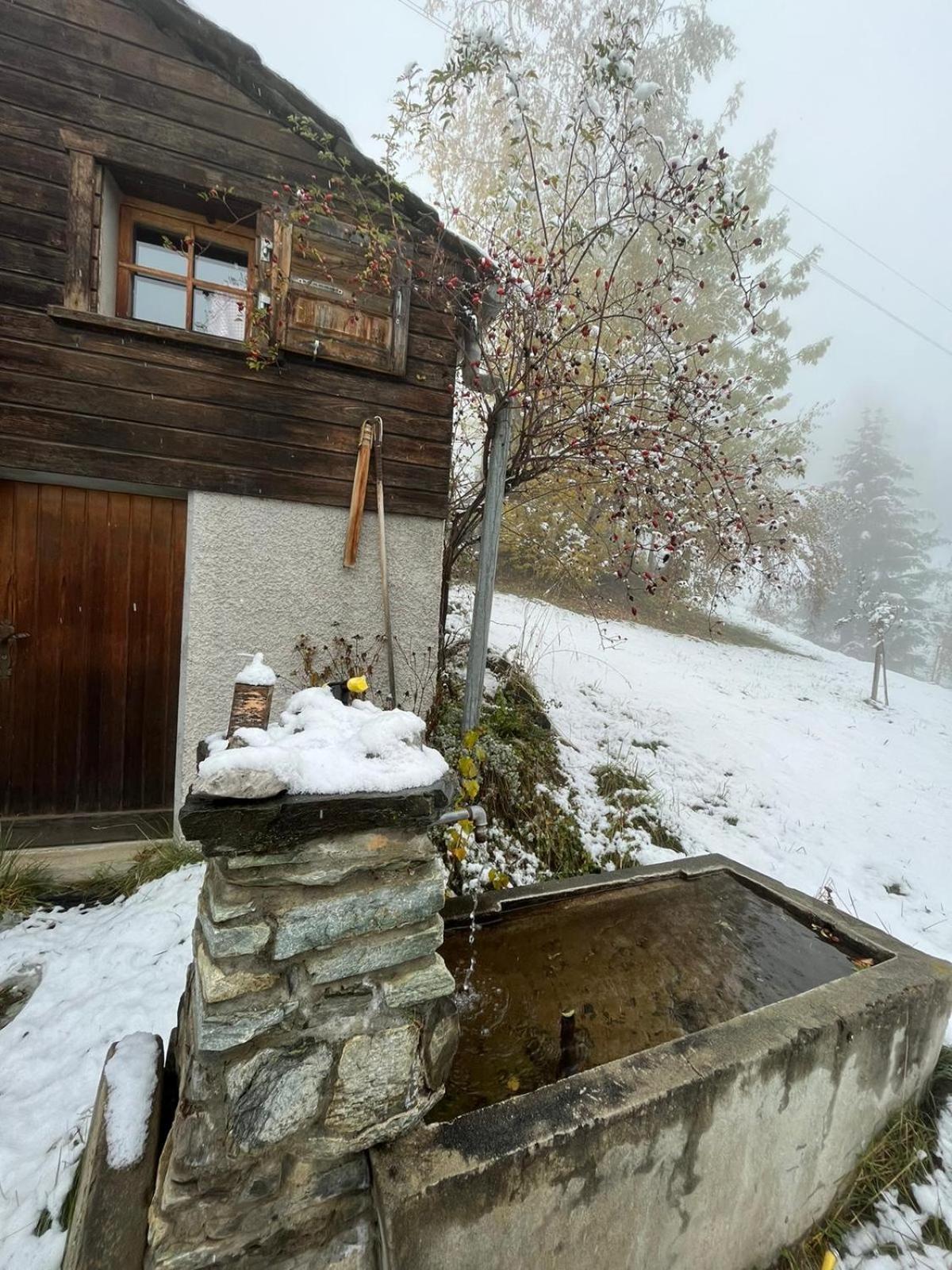 Chalet La Paz With Hotpot And Sauna Villa Torbel ภายนอก รูปภาพ
